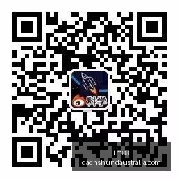季后赛真实,命中率排行,莱昂纳德领,im体育app,im体育手机版,im体育下载,im体育网页版