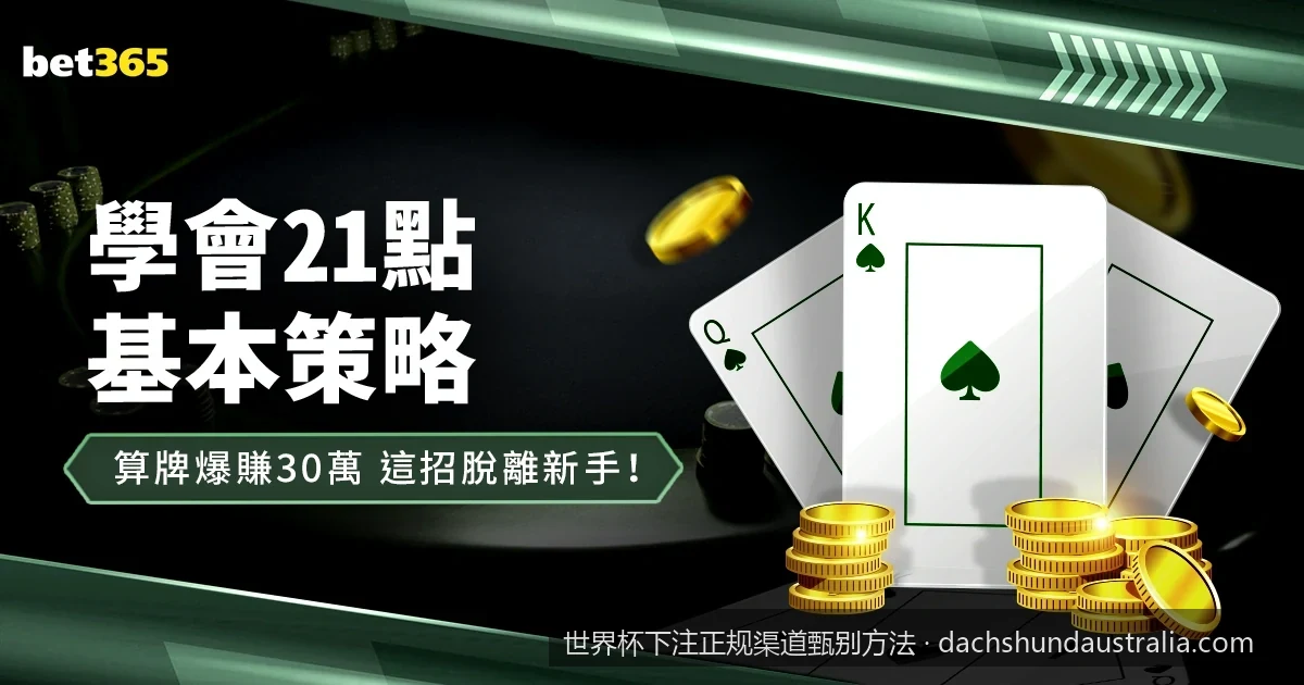 2026世界杯安全观赛指南：如何用三步法甄别虚假下注渠道